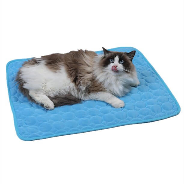 Kat liggend op blauwe Coolmat huisdierenmat