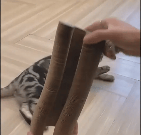 De Kattenscratcher™ | Krabben en Spelen voor Elke Kat