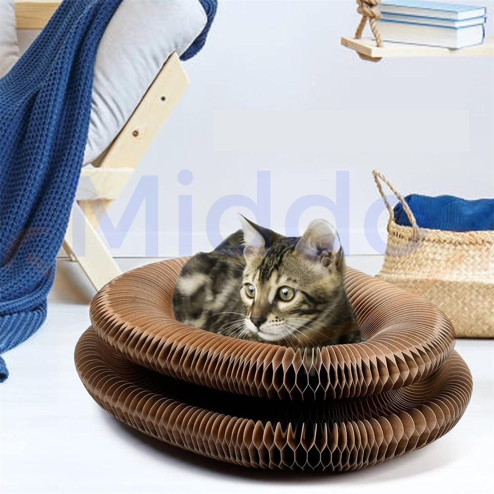 Kat ligt comfortabel en ontspant in de Kattenscratcher