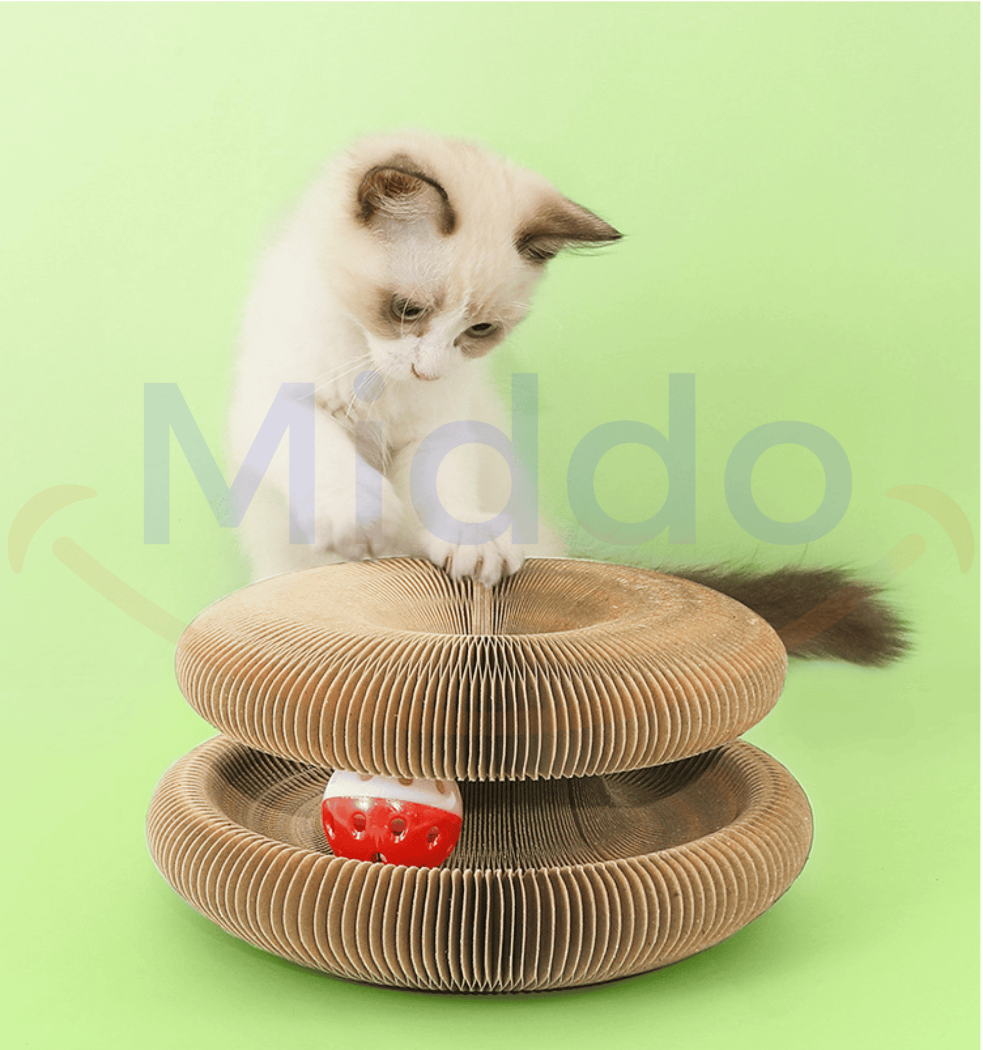 Kat speelt nieuwsgierig op de Kattenscratcher in een groene omgeving