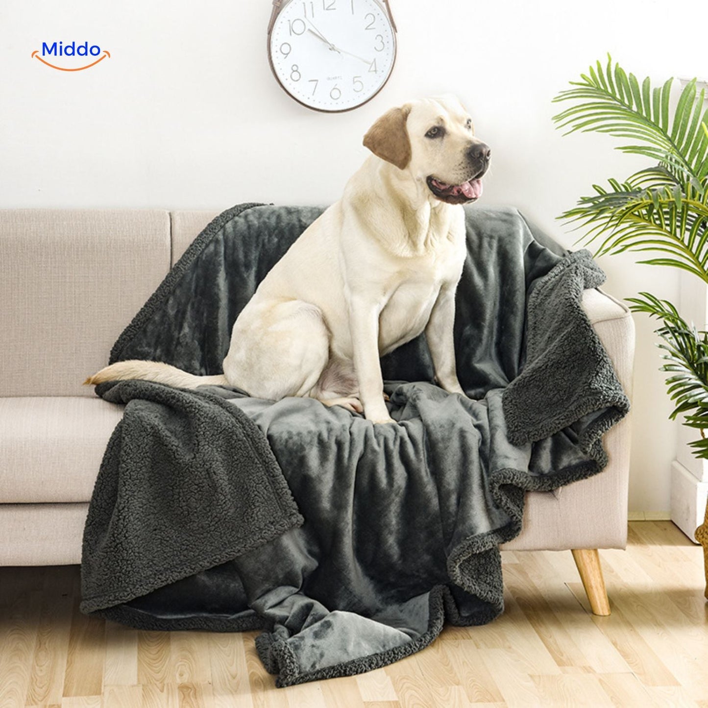 PawGuardDeken hond gezellig www.middo.nl