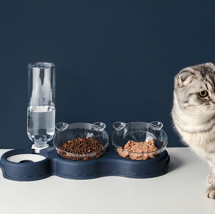Kat staat naast voederbak met droogvoer, natvoer en waterfles.