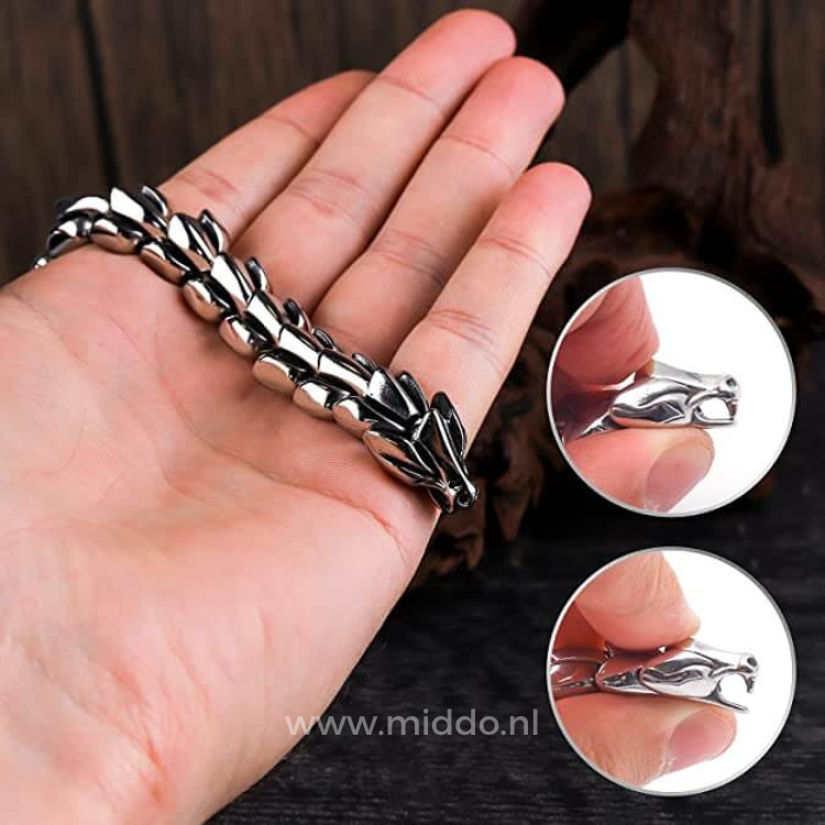 Hand houdt een zilveren drakenarmband vast, detailopname van de drakenkop en schakels