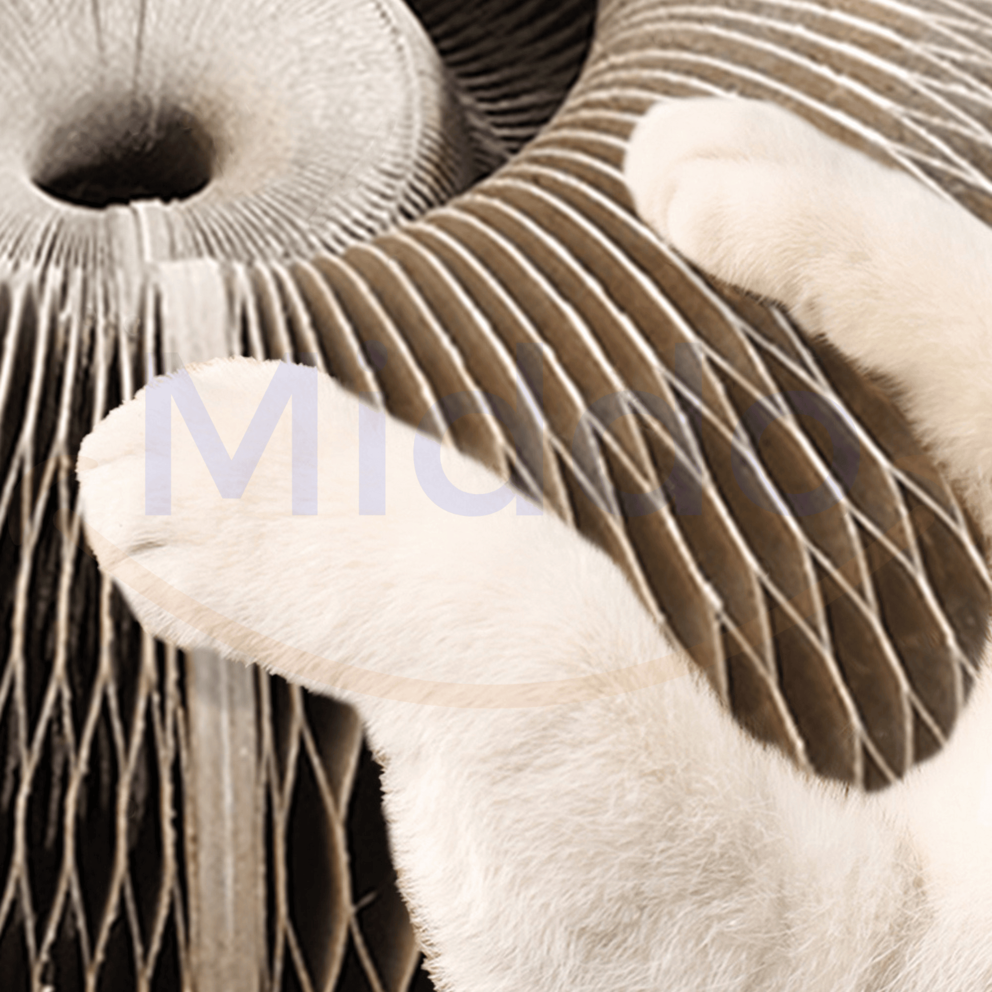 Close-up van de Kattenscratcher textuur met kattenpoten op de kattenscratcher