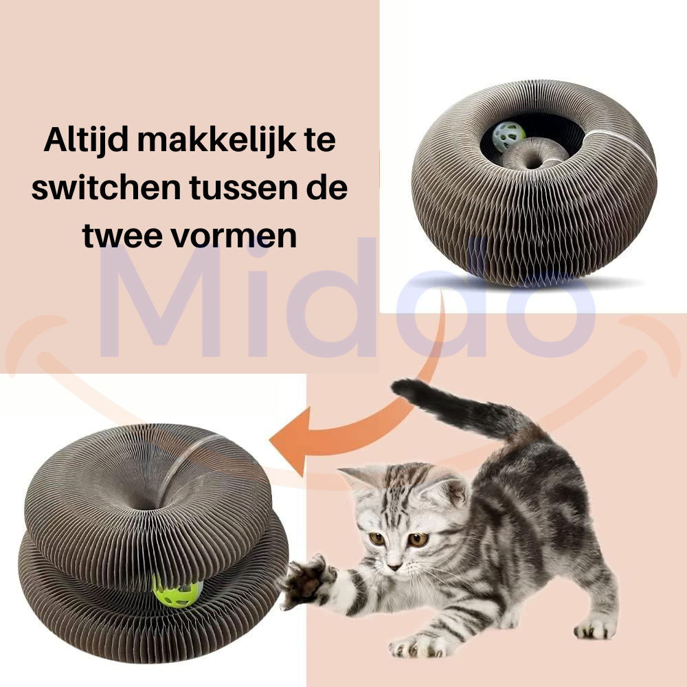 Kat speelt en wisselt tussen de verschillende standen van de Kattenscratcher