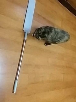 EasyClean uitschuifbare stofdoek met huisdier op houten vloer